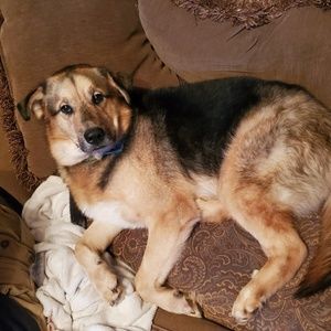 Meet your Posher, Tara